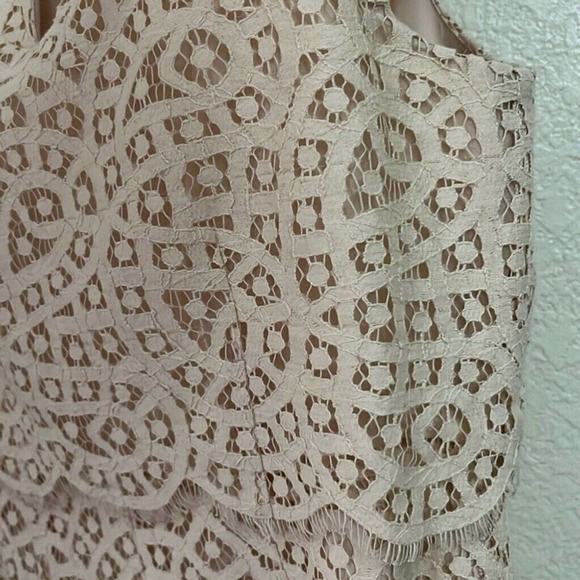 J. Crew Lace Dress Sleeveless Overlay Party Cocktail Blush Size 4 - Picture 5 of 7